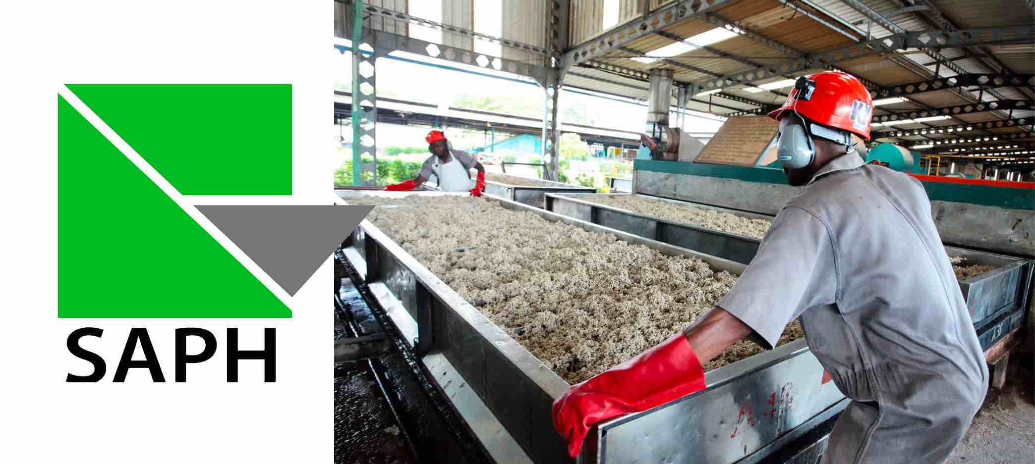 Caoutchouc naturel : regard sur la consommation mondiale (Copie)